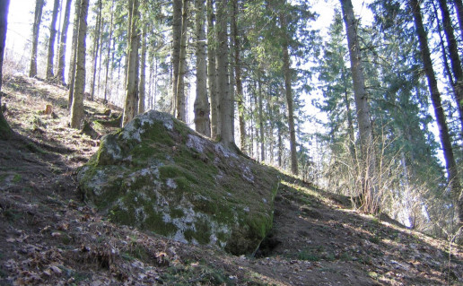 25_Mikytu alkakalnis. D.Abrutes n.jpg